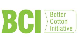 Logo BCI con letras verdes